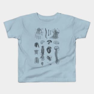 Vintage Anatomy Illustration Kids T-Shirt